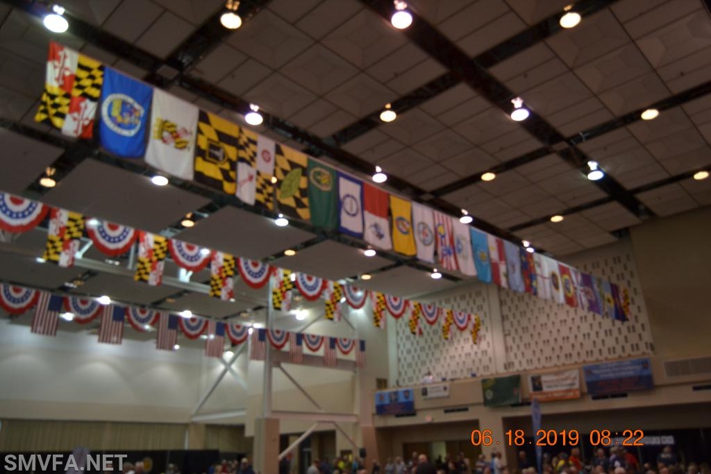MSFA
6/18/19