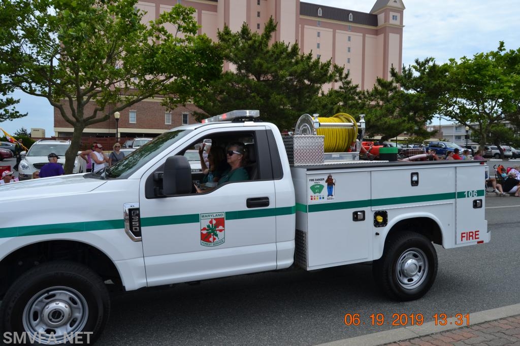 MSFA
6/19/19