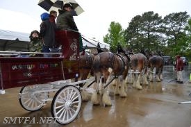 Parades 2016